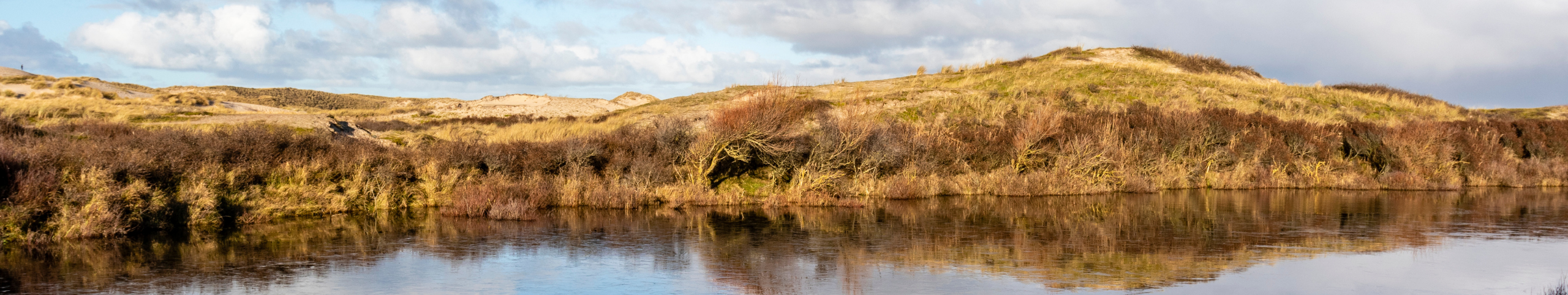Banner Bergen aan zee - Noord-Holland - Nederland